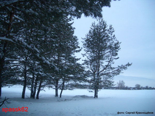 Спасск. Зимние этюды. Февраль 2005