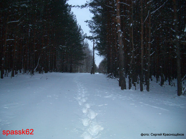 Спасск. Зимние этюды. Февраль 2005