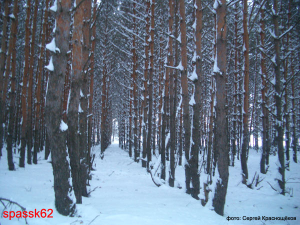 Спасск. Зимние этюды. Февраль 2005