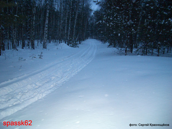 Спасск. Зимние этюды. Февраль 2005