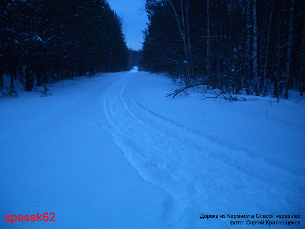 Спасск. Зимние этюды. Февраль 2005