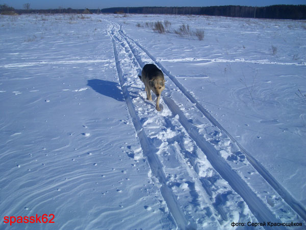 Спасск. Вид зимой. 2005