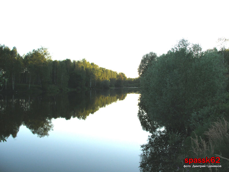 КЕРМИСЬ. Виды села. Пруд. 2005 год. Фото: Дмитрий Сдвижков